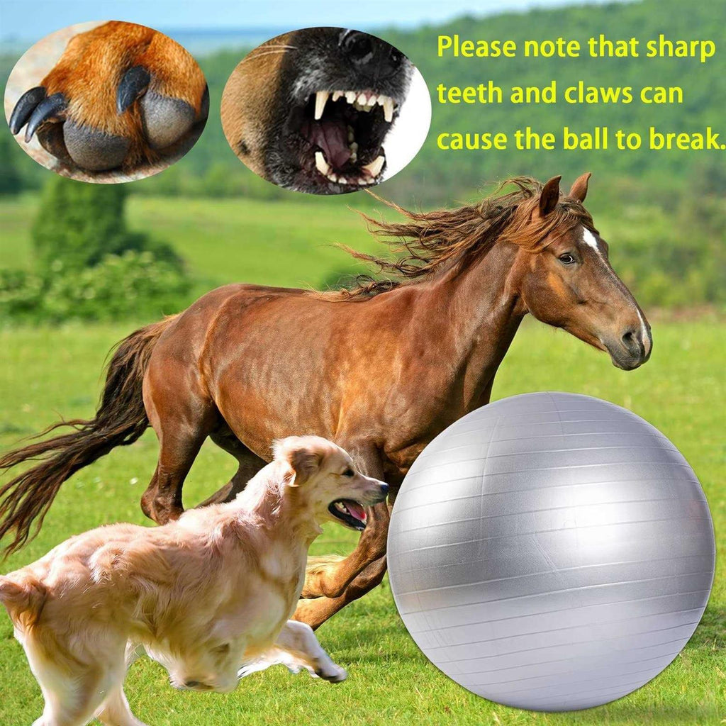 30 Inch Anti-Burst Horse Herding Ball with Pump F3716