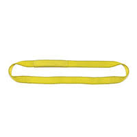 3 Ply 8x22 x 8& Endless Polyester Web Sling Q1913