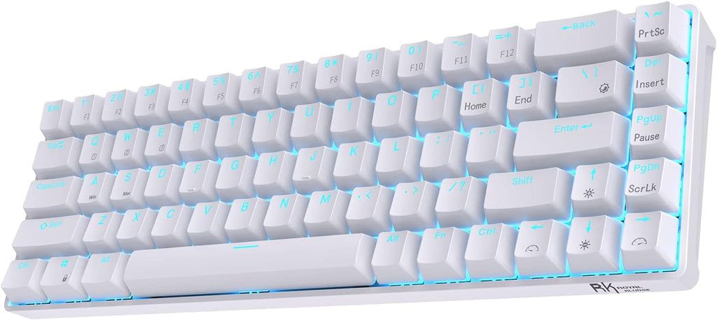 Wireless Hot Swappable 65% Mechanical Keyboard I302657