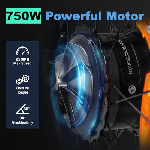 Electric Trike 20" Fat Tire 750W 48V 31.5Ah Removable Dual Battery 3 Wheel Electric Bicycle with Large Basket T8573