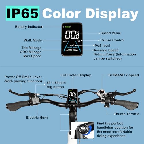 Electric Trike 20" Fat Tire 750W 48V 31.5Ah Removable Dual Battery 3 Wheel Electric Bicycle with Large Basket T8573