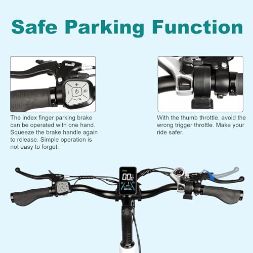 Electric Trike 20" Fat Tire 750W 48V 31.5Ah Removable Dual Battery 3 Wheel Electric Bicycle with Large Basket T8573