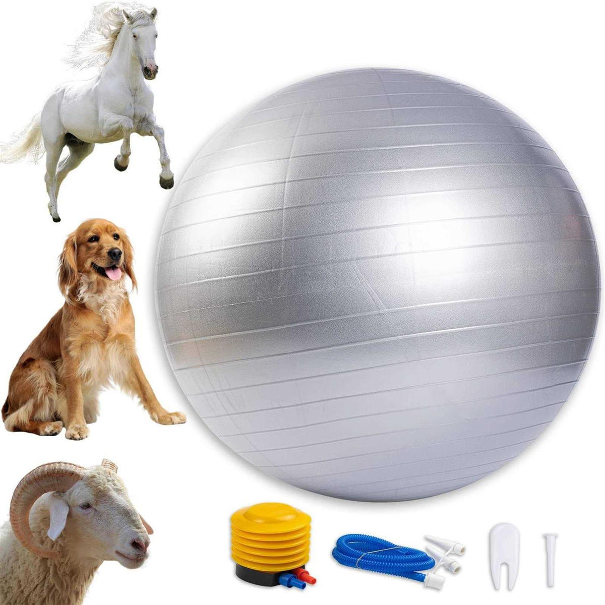 30 Inch Anti-Burst Horse Herding Ball with Pump F3716
