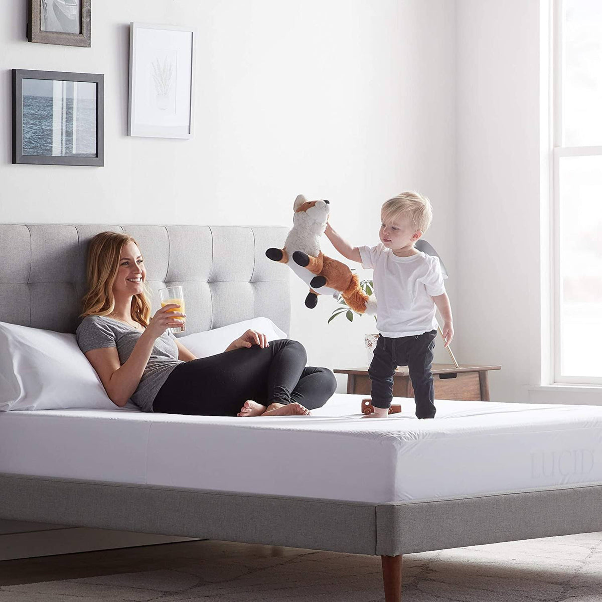Twin Mattress Protector S278