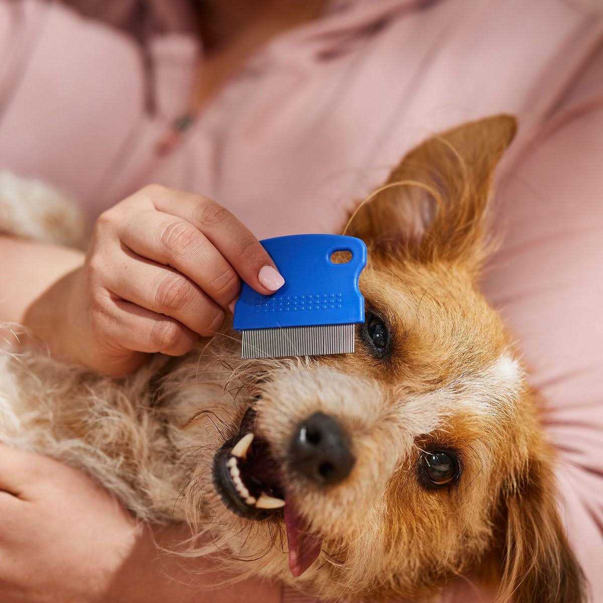 Tear Stain Remover Comb for Dogs Extra Fine Tooth O352