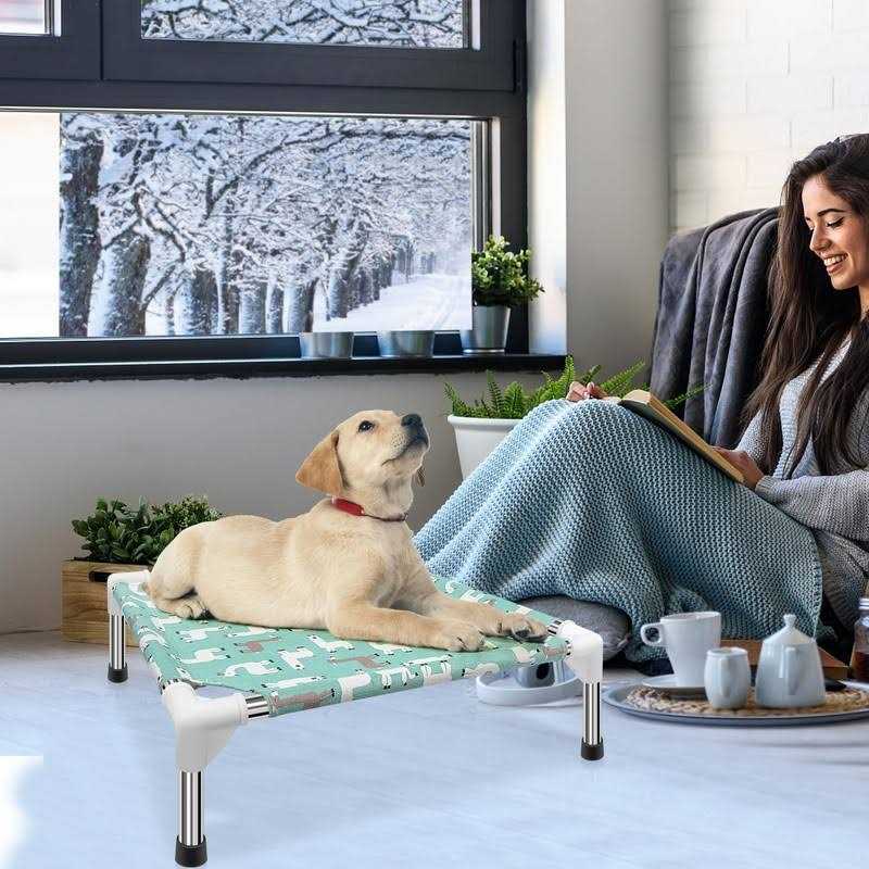 Elevated Dog Bed Pet cot for Small Dogs M982