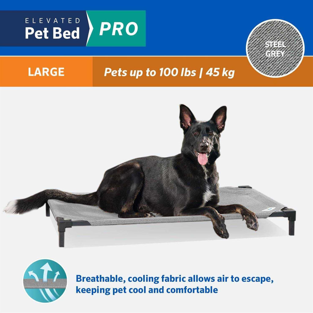 Elevated Pet Bed Q849940