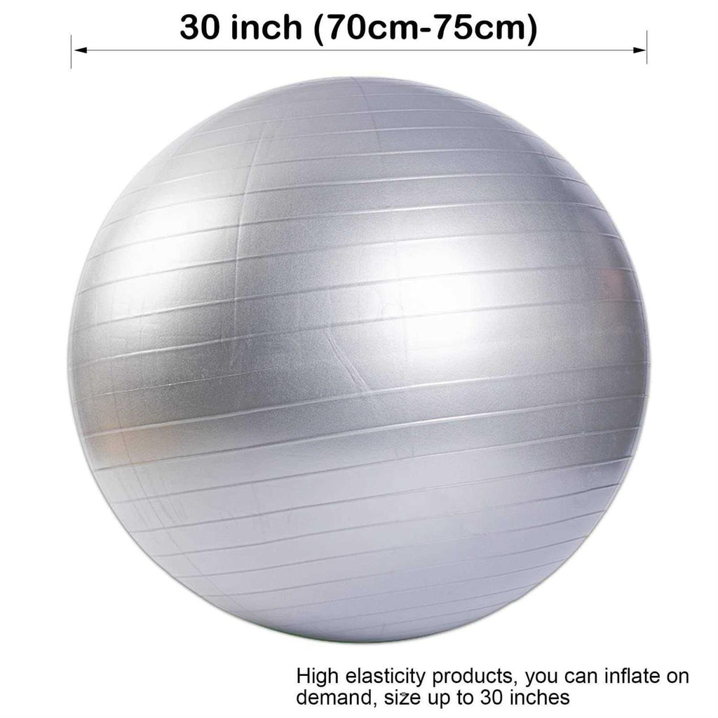 30 Inch Anti-Burst Horse Herding Ball with Pump F3716