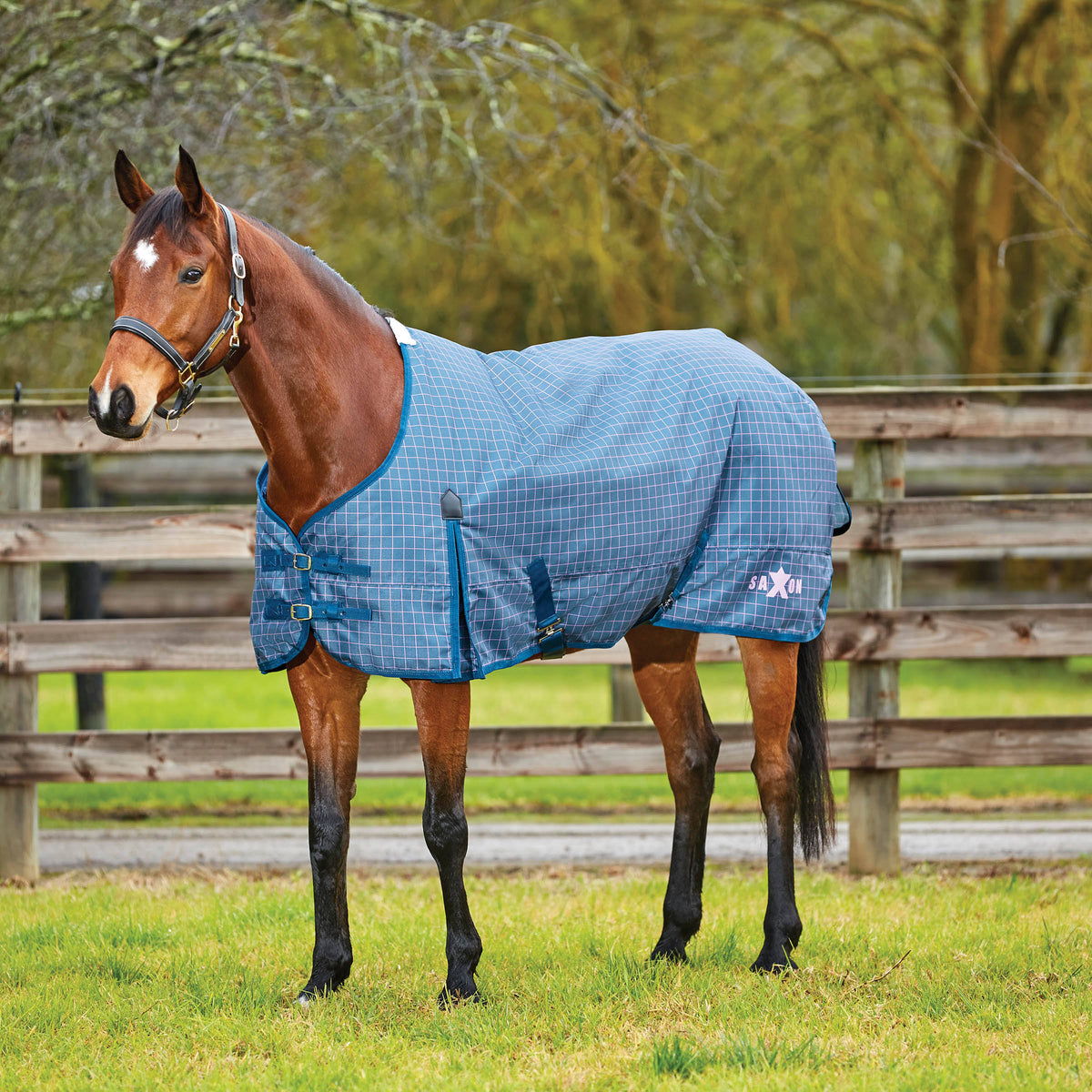 600d Gusset Standard Neck Dark Blue/Orchid 81x22 T309