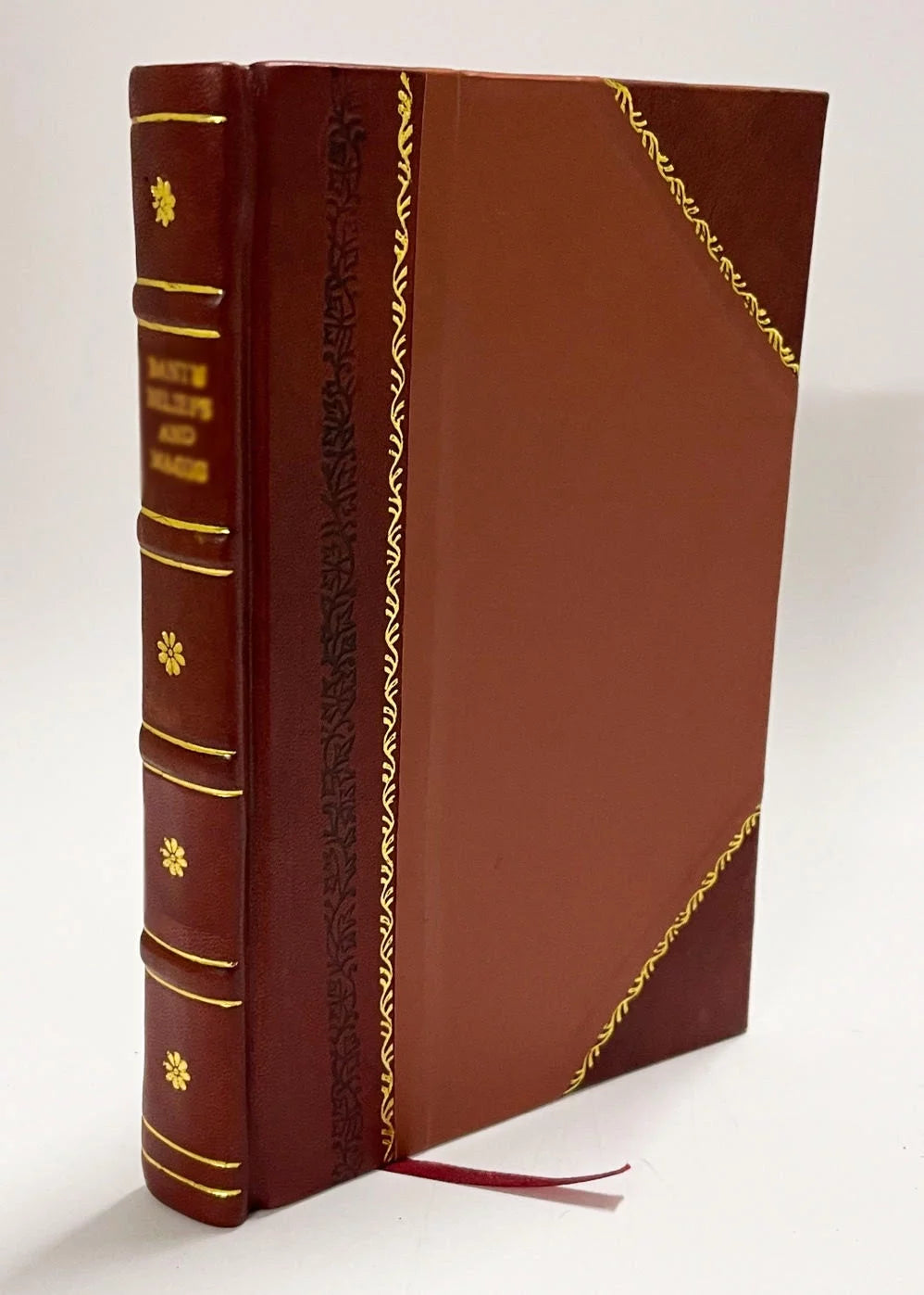 Meditations on the Life and Passion of Our Lord Jesus Christ J48030
