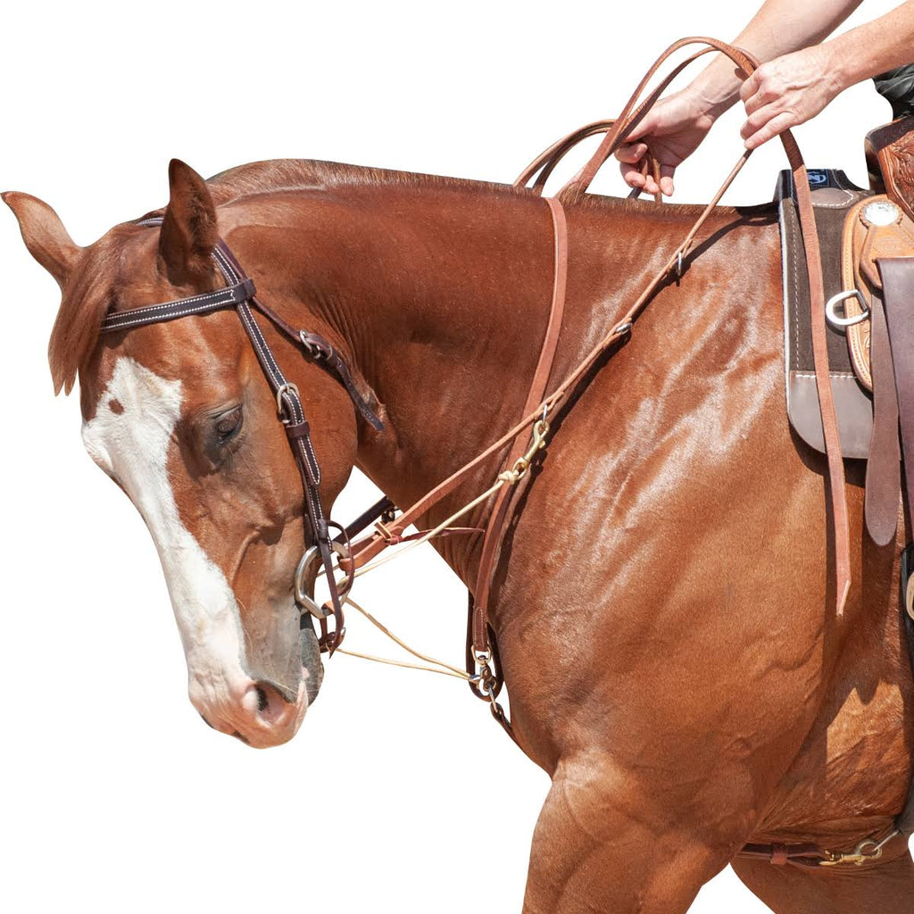 German Martingale with Split Rein C152714
