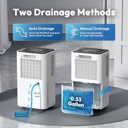 30 Pint Dehumidifier with Drain Hose K185880