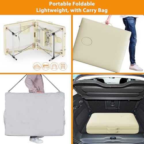 Portable 2-Fold Black Massage Table with Carrying Bag B223