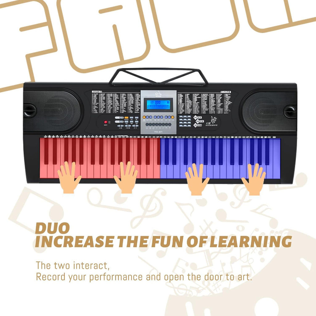 61 Key Keyboard Piano with LCD Display, 255 Sounds, Microphone, 3.5mm Audio Cable, 24 Demo Songs Q3233