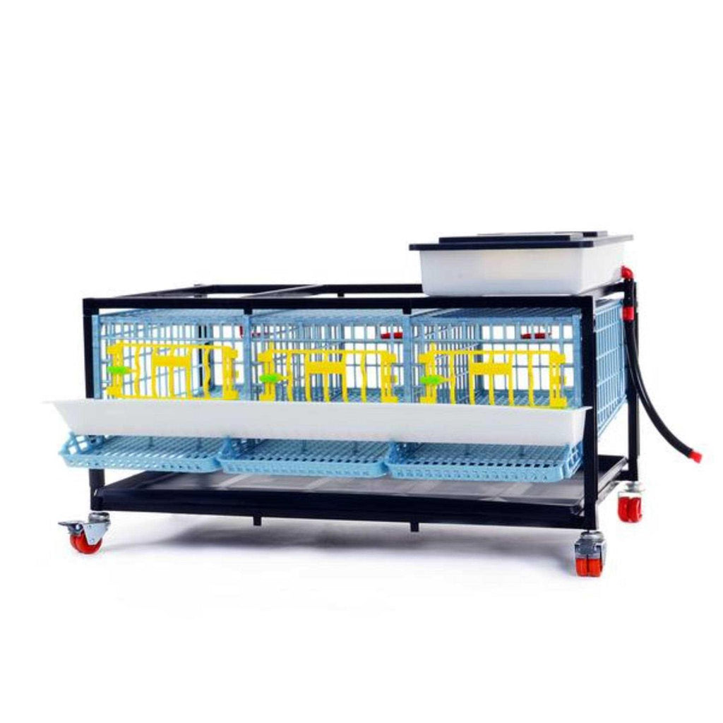 Partridge Cage 1 Layer W738360