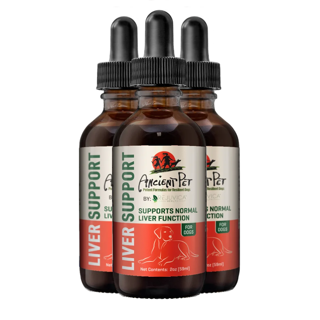Liquid Liver Support Supplement for Dogs 3 Pack Y455