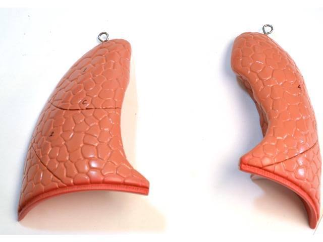 Human Torso Model I614