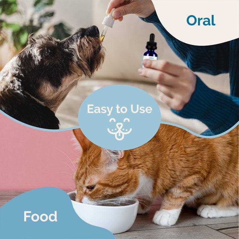 Herbal Dewormer for Dogs T207
