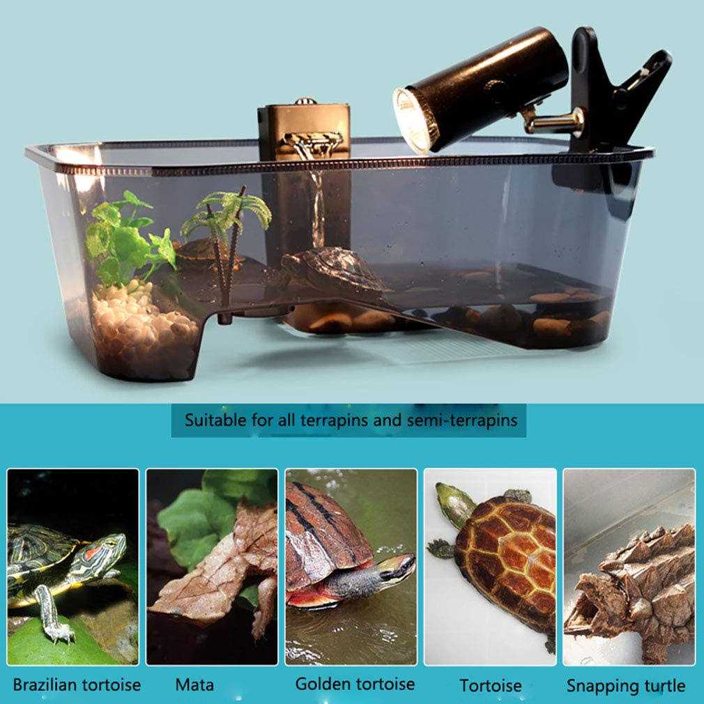 Turtle Tank Aquarium with Platform Plants L690