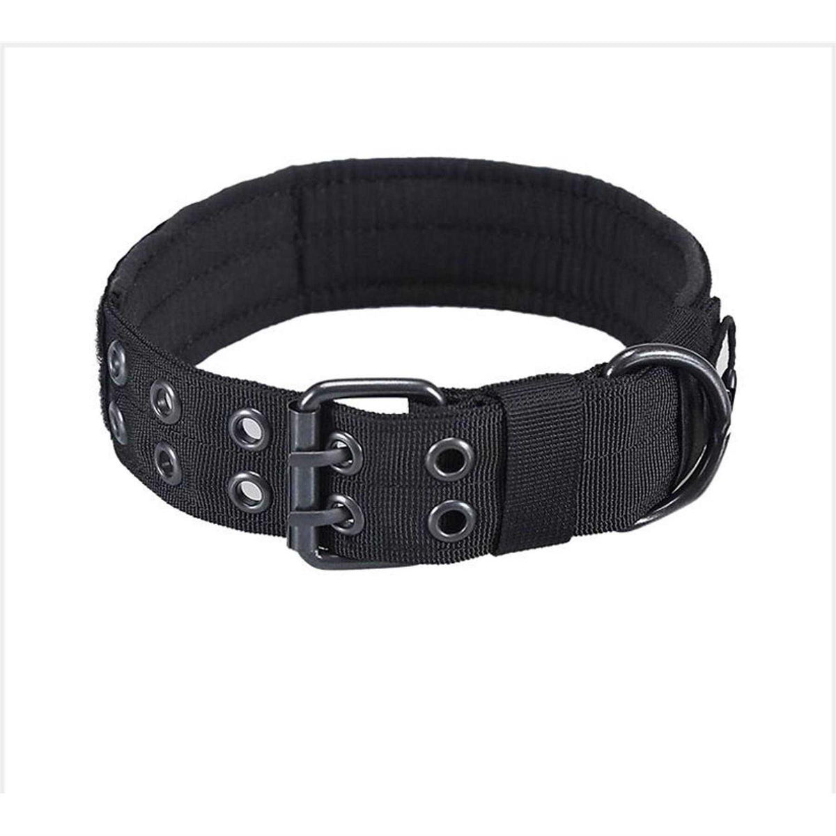 Adjustable Dog Collar with Metal D Ring Buckle J24571