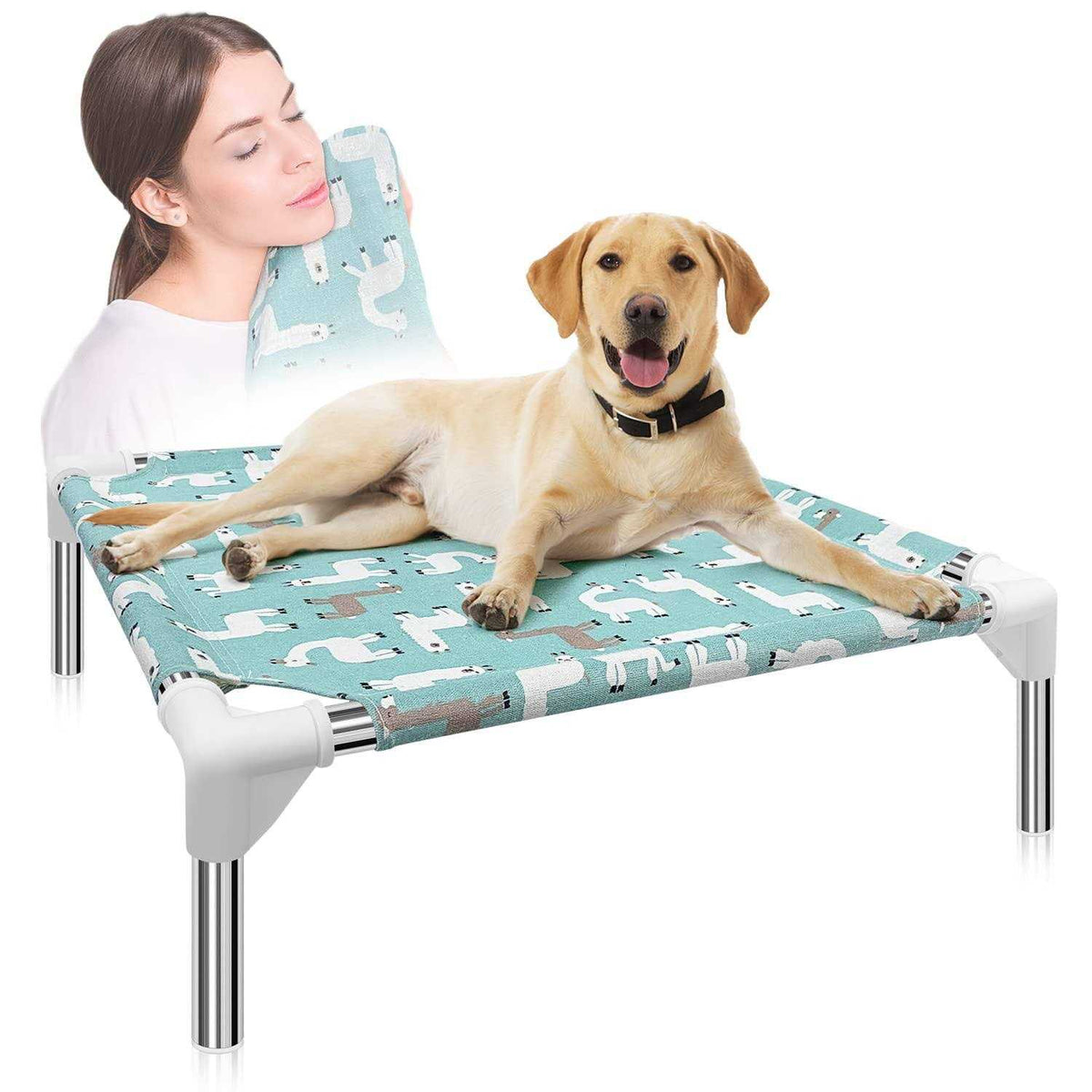 Elevated Dog Bed Pet cot for Small Dogs M982
