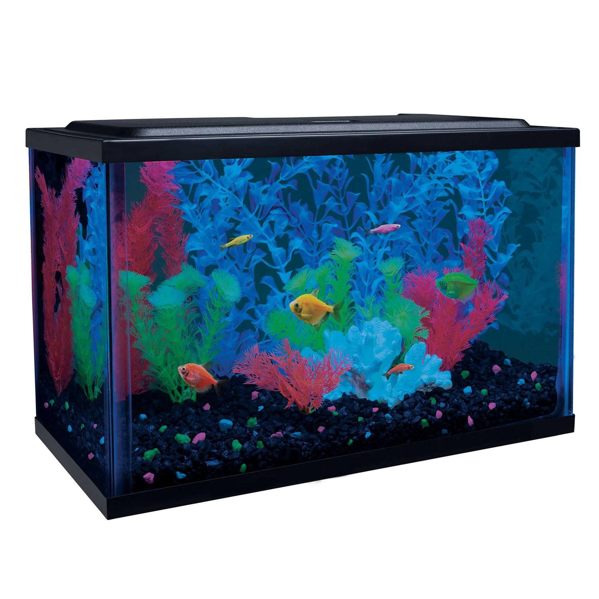 5-Gallon Aquarium Kit with LED Filter P42870