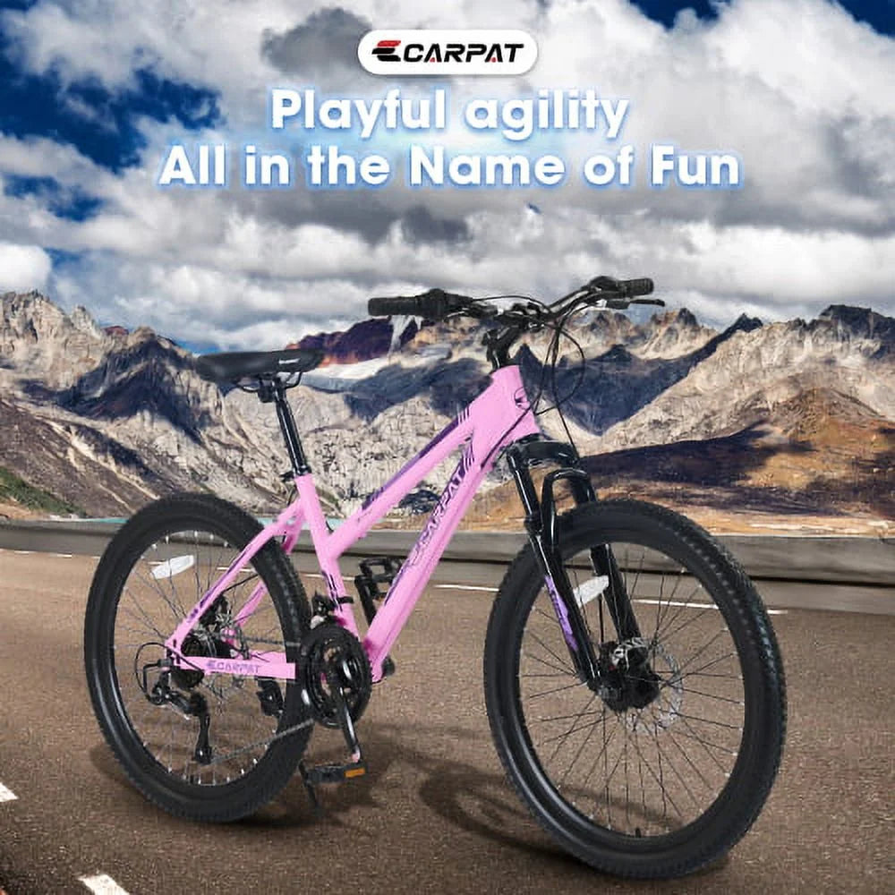 24 inch Pink Mountain Bike E5668